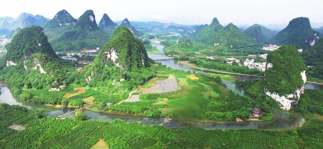 1626399910166027.jpg 640.webp (2).jpg