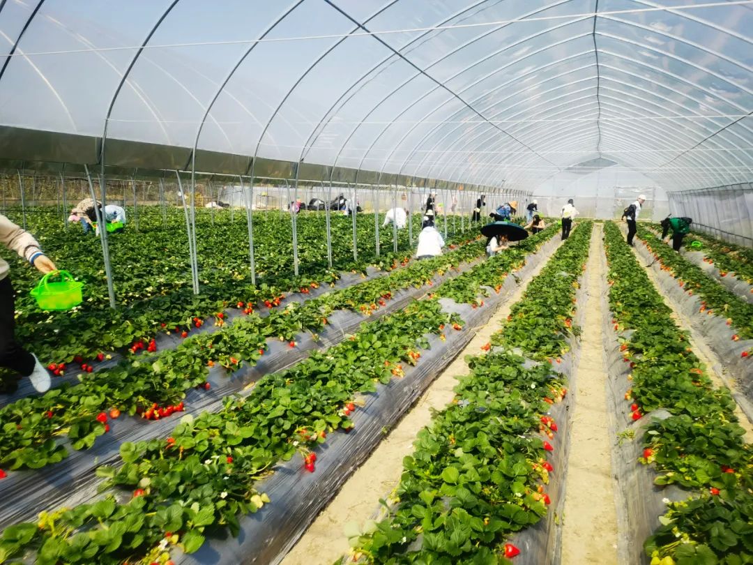 1675324312356693.jpg 640 (4).jpg